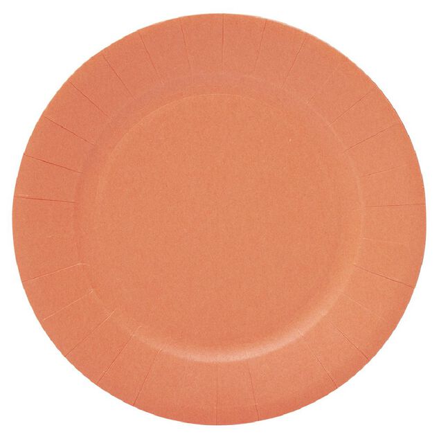 Lot de 10 assiettes en carton orange Ø18cm