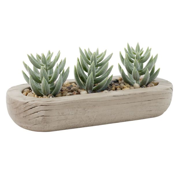 Plante grasse artificielle base ovale ciment imitation bois 18x8xH8cm (2 mod&egrave;les)