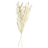 Feuille séchée naturelle x2