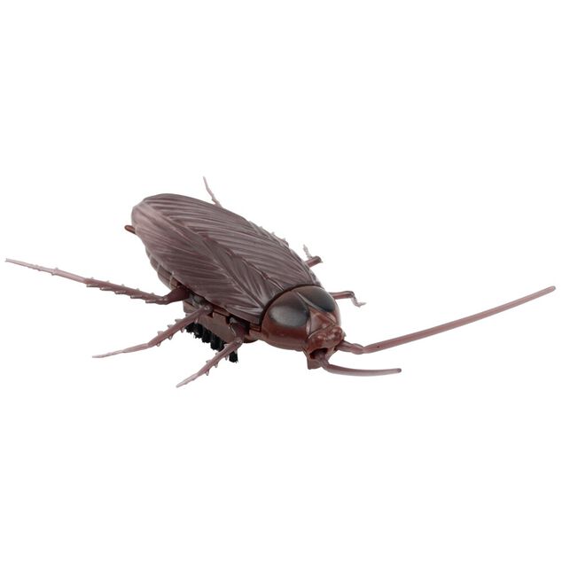 Insecte anim&eacute; farce et attrape L10cm (3 mod&egrave;les)
