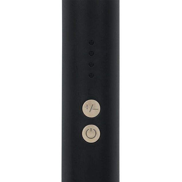 Fer &agrave; lisser noir 100/240V