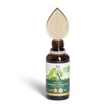 Diffuseur capilla nomade Mess&eacute;gu&eacute; eucalyptus citronn&eacute; 30ml