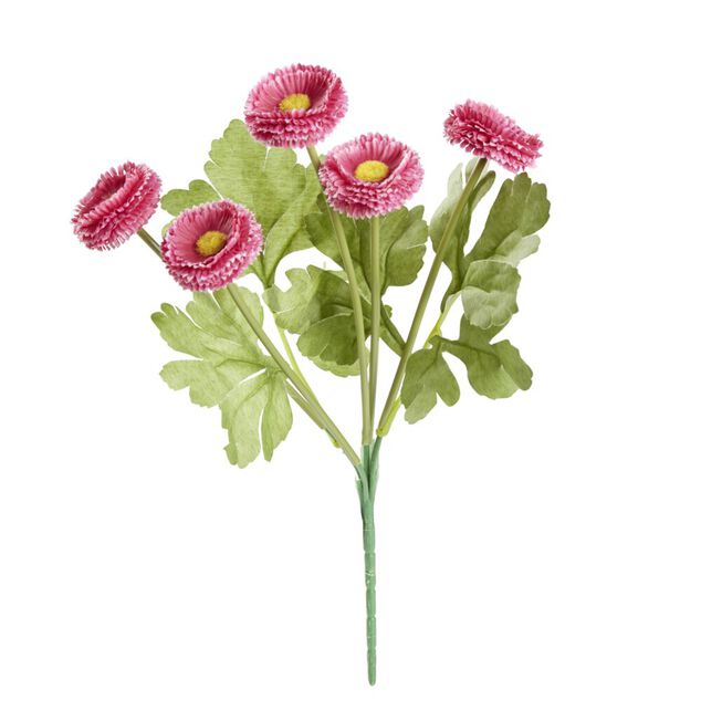 Piquet de 5 Chrysanth&egrave;mes roses ouvertes en poly&eacute;thyl&egrave;ne