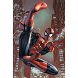Poster Spider-Man - Web Sling