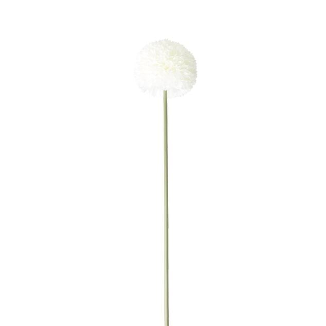 Fleur artificielle 1 tige allium blanc H72cm