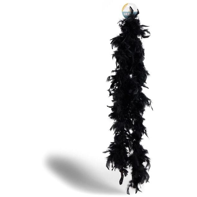 Boa plume noir ou blanc 200cm