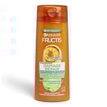 Shampoing Fructis Damage Repair Garnier 250ml