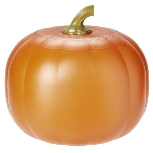 Citrouille anim&eacute;e orange