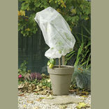 Housse d'hivernage blanc 2x10m