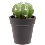 Cactus boule artificiel vert et blanc Ø7,5xH15cm