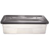 Box dessous de lit transparent et gris 30L