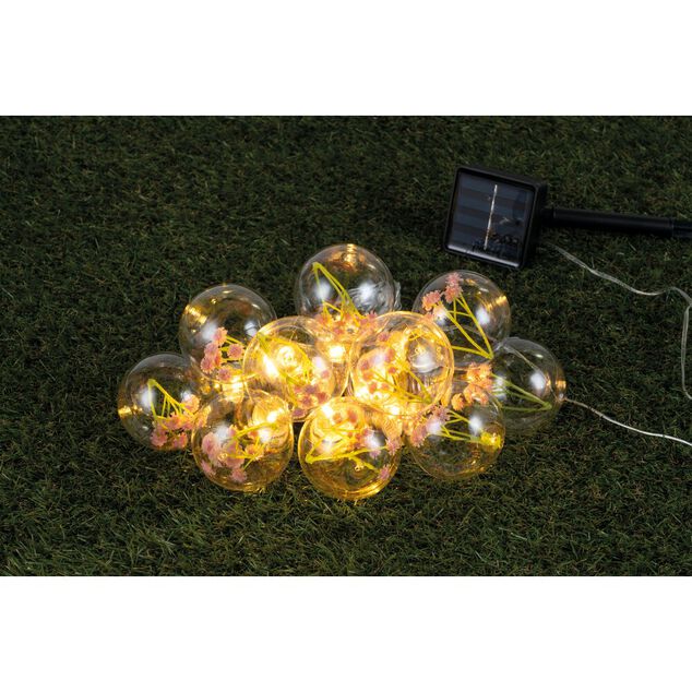 Guirlande solaire 10 ampoules LED avec fleurs s&eacute;ch&eacute;es &Oslash;6xL470cm