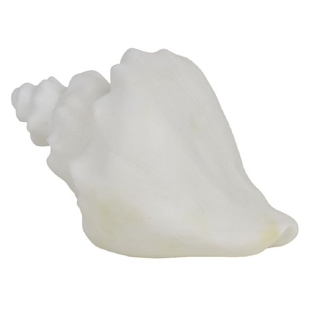 Veilleuse LED coquillage blanc