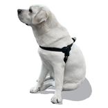Harnais pour chien taille S 43-56cm