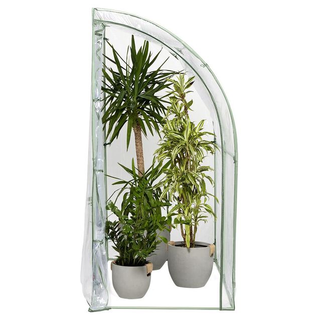 Serre murale PVC transparent et m&eacute;tal  100x200xH215cm