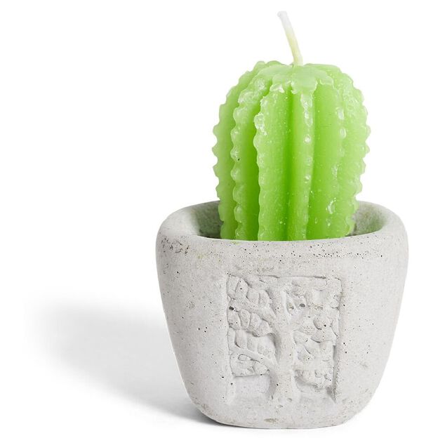 Bougie plante dans pot ciment &Oslash;5xH7cm