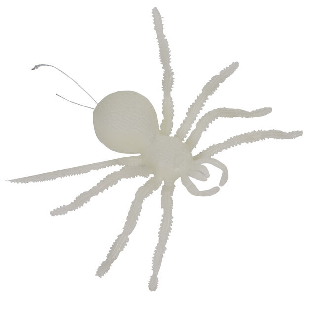 Araign&eacute;e phosphorescente x2