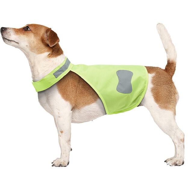 Gilet jaune pour animal