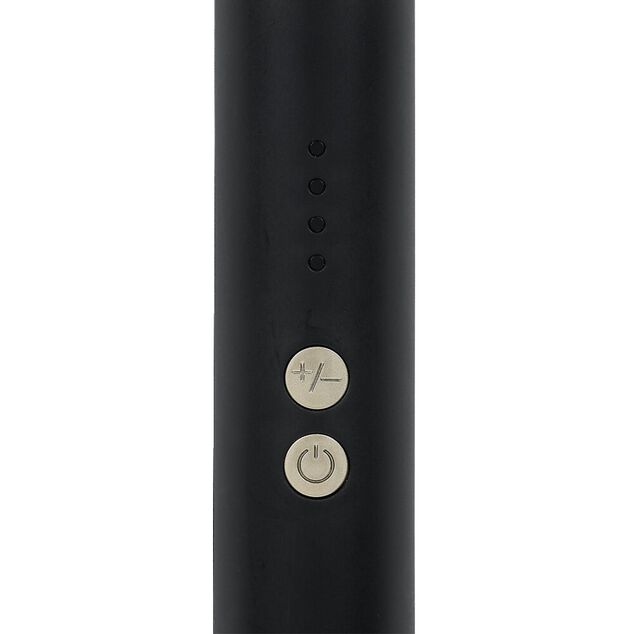 Fer à lisser noir 100/240V