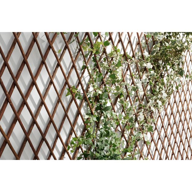 Treillis extensible en osier marron
