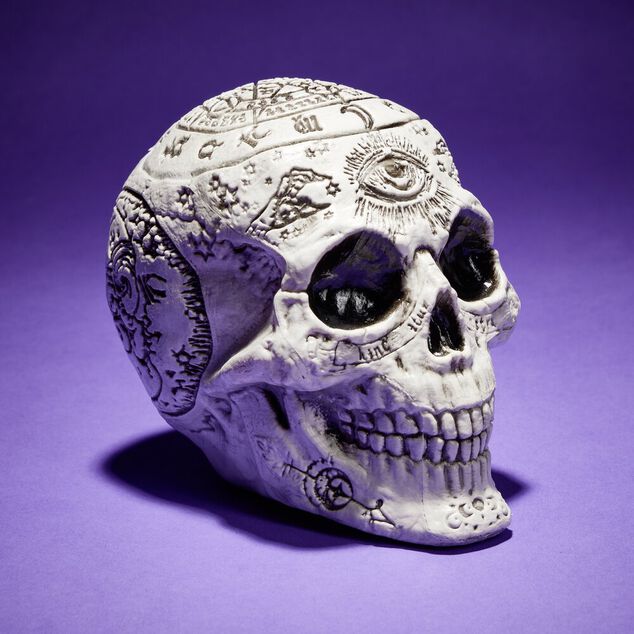 D&eacute;coration Halloween Spirit t&ecirc;te de mort &agrave; poser 15x11xH15cm