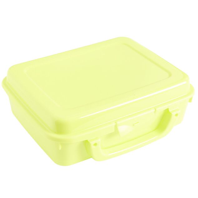 Bo&icirc;te &agrave; sandwich rectangulaire plastique color&eacute; 20x16xH7cm (3 mod&egrave;les)