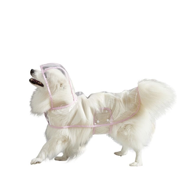 Manteau de pluie imperm&eacute;able transparent pour chien - Taille S