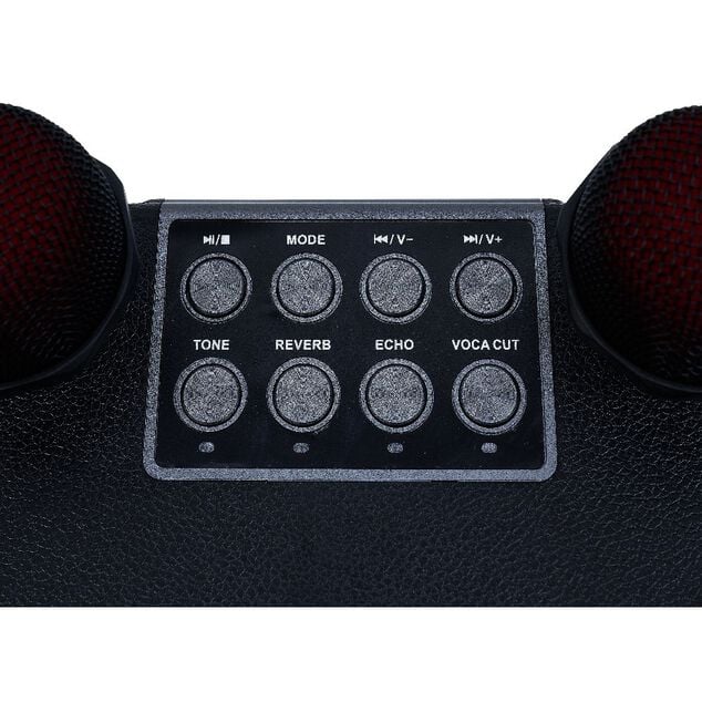 Enceinte karaoké 2 micros Homday Party