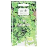 Semence persil geant d italie