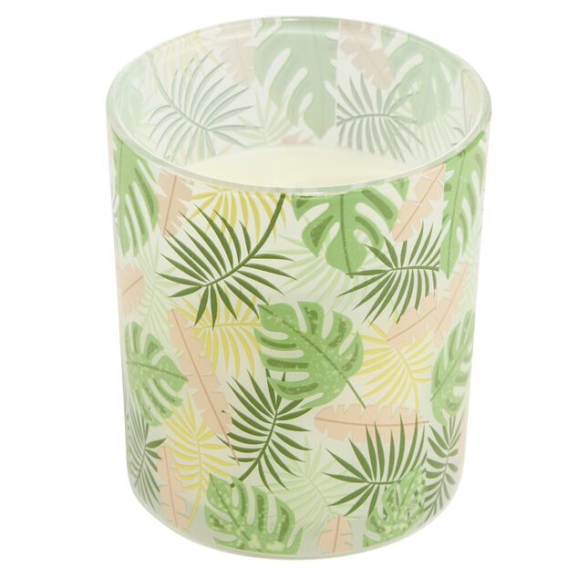 Bougie parfum&eacute;e dans pot verre feuillage phosphorescent &Oslash;8,5xH10cm (3mod&egrave;les)