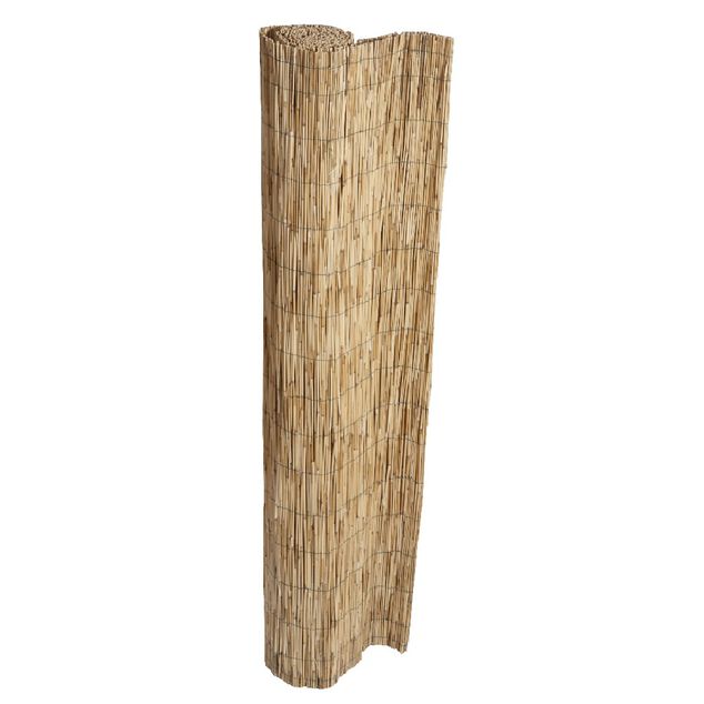 Canisse en paillon de roseaux pel&eacute;s L500 x H150 cm