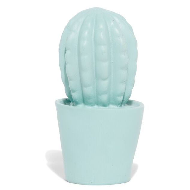 D&eacute;coration pot cactus