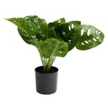 Plante artificielle en pot monstera vert &Oslash;10xH38cm