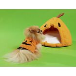 D&eacute;guisement Halloween pull motif citrouille pour chien