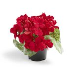 Pot fleur artificielle hortensia rouge 3 tiges H20cm