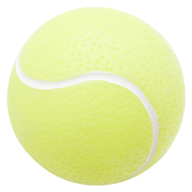 Jouet balle pour chien Ø9,5cm