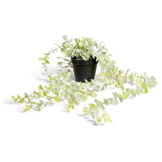 Chute eucalyptus artificiel clair dans pot L62cm