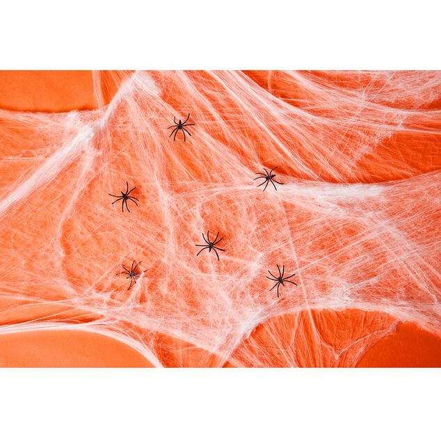 Toile d'araignée blanche avec 6 araignées Halloween