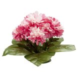 Coussin chrysanthème artificiel 15 têtes rose