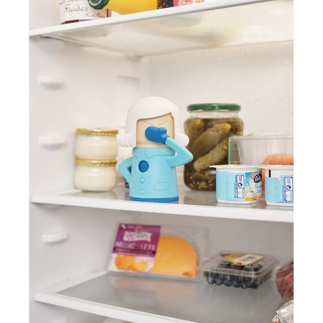 D&eacute;sodorisant pour frigo Cool Mama