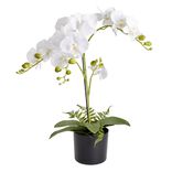 Fleurs artificielles en pot orchid&eacute;e blanche 4 branches H71cm
