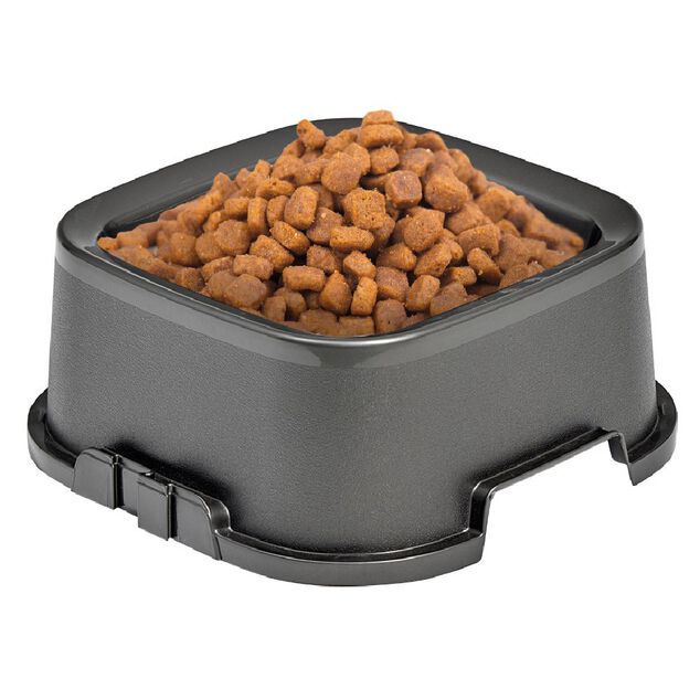 Gamelle carr&eacute;e bleue 500ml - plastique 16,6x16,6xH6,5cm