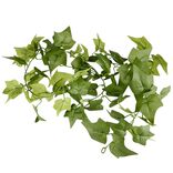 Guirlande lierre artificiel L180cm