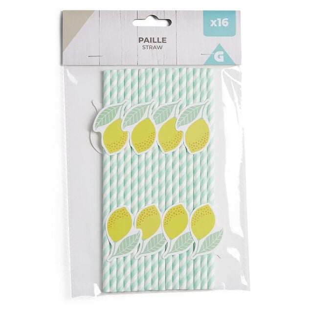 Lot de 16 pailles décorées papier L25cm