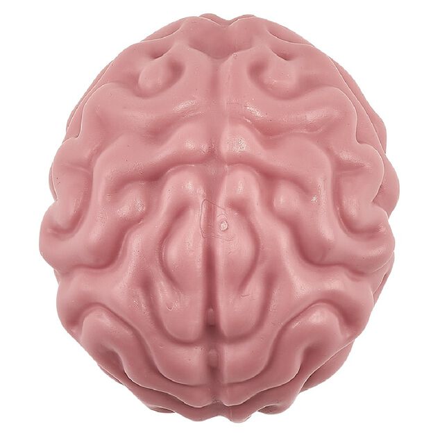 Cerveau anti stress rose