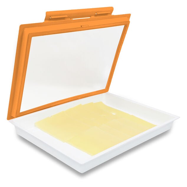 Plateau de conservation x 2