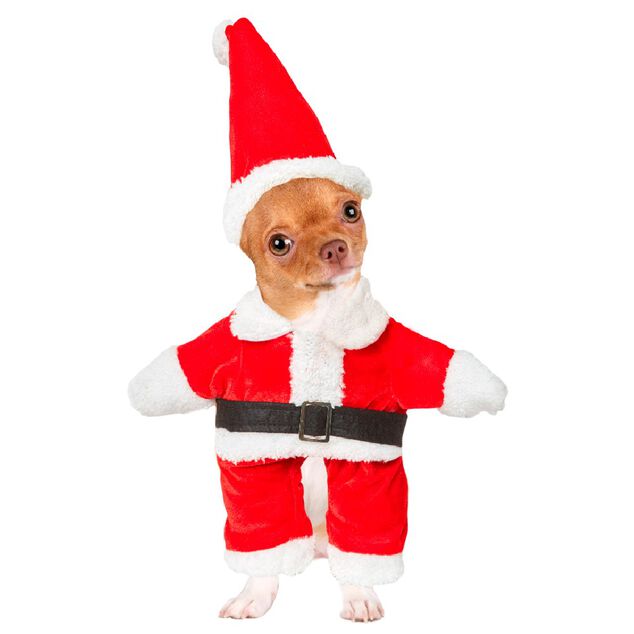 D&eacute;guisement de P&egrave;re No&euml;l pour chien effet humain taille S/M