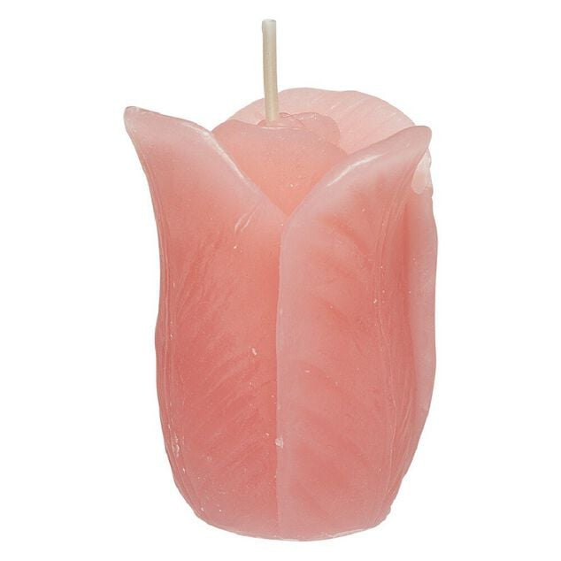 Bougie parfum&eacute;e forme tulipe  &oslash;4 xH6 cm