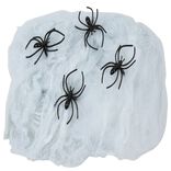 Toile blanche avec 4 araign&eacute;es