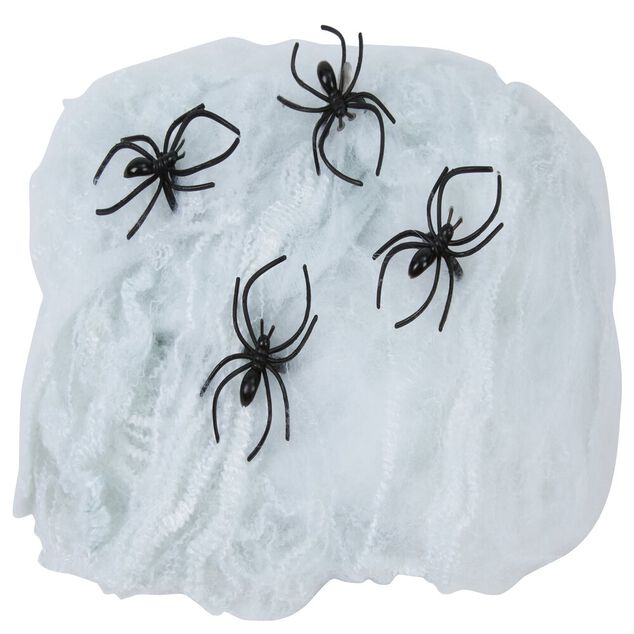 Toile blanche avec 4 araign&eacute;es